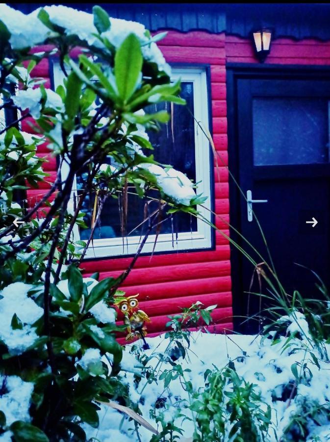 Villa Tiny Waldheim Billerbeck Exterior foto